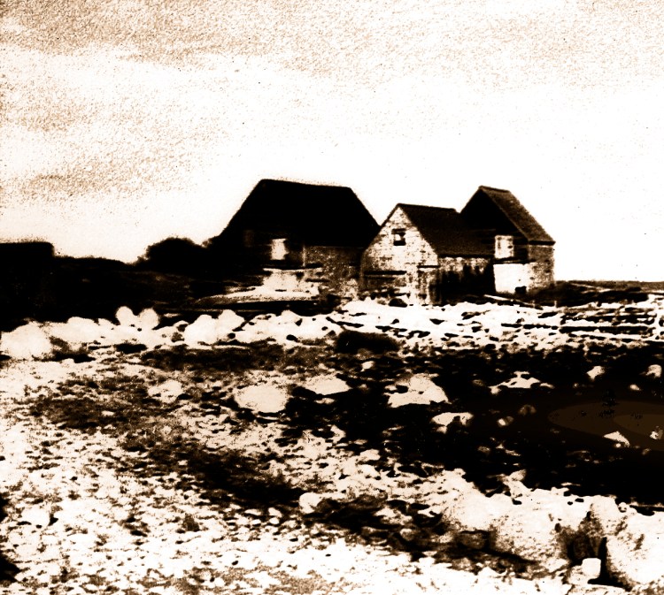 BlogBeachHouseCropInfraRedSilverGel copy