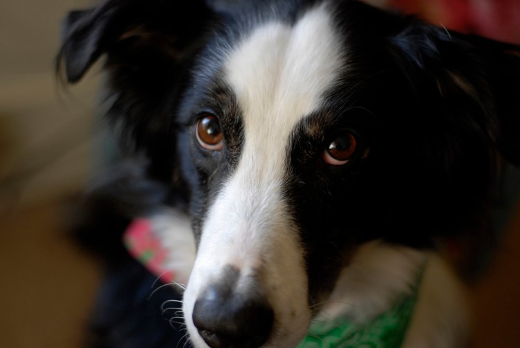 BlogSam_DSC0119 copy