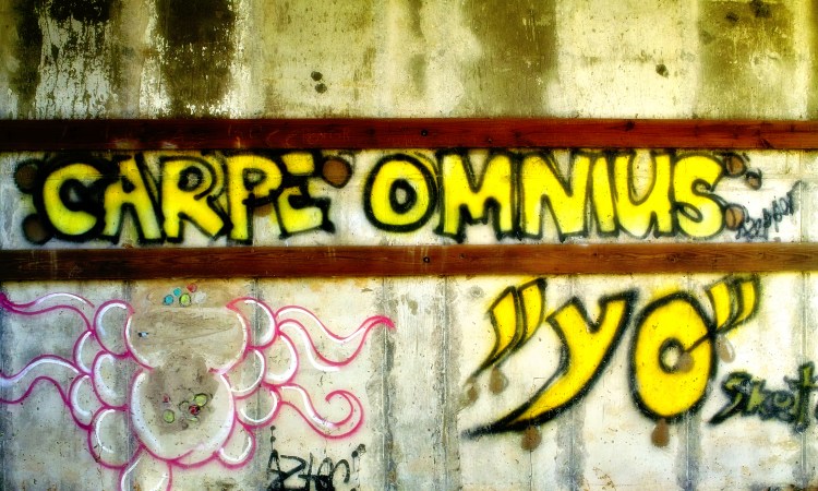 BlogVischeFerry1212121212 copy 3