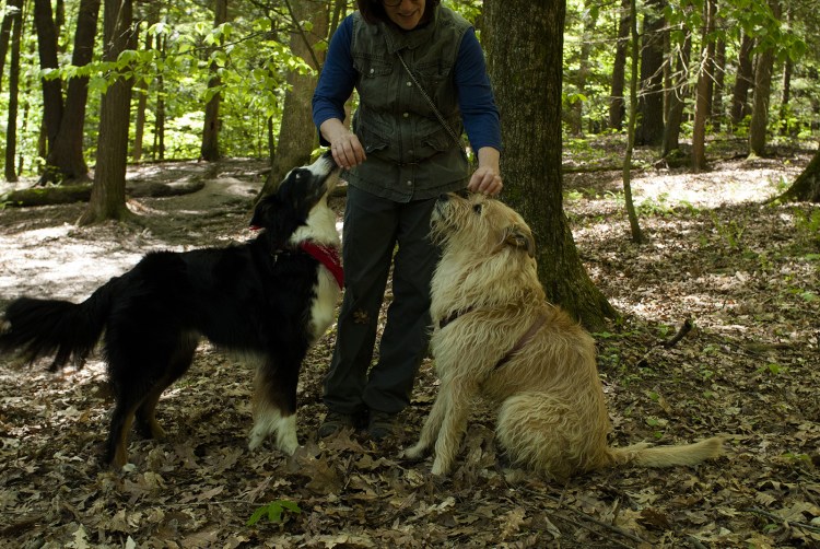 OptimizedBlog_DSC0081