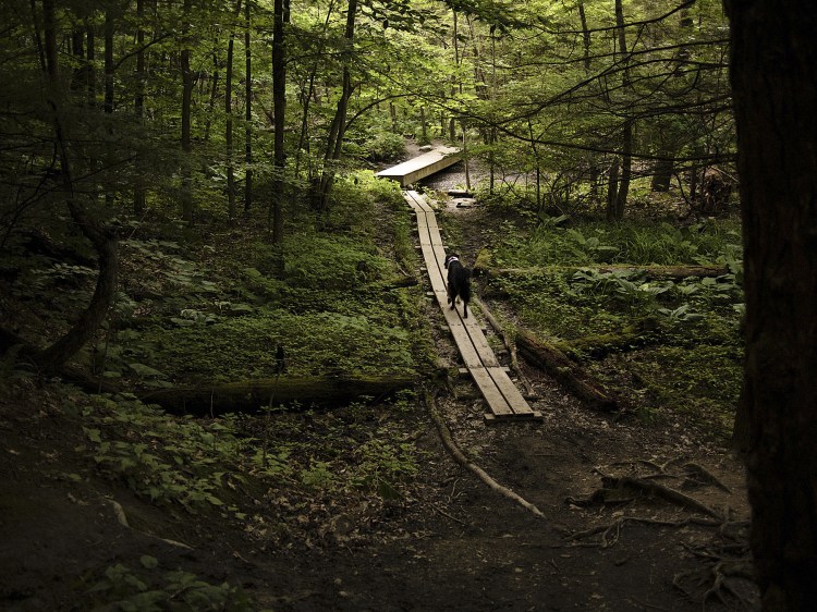 OptimizedBlogSRSam1193-copy2