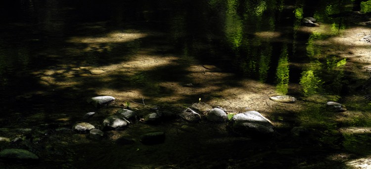 OptimizedBlogTest_SDI3772Mac-copy