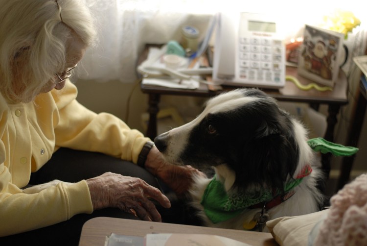 OptimizedLillianSam3_DSC0111-2